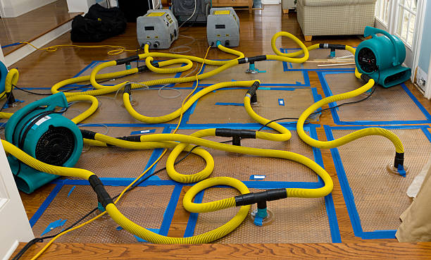 Professional Basement Flood Cleanup technician working in Holtsville, NY